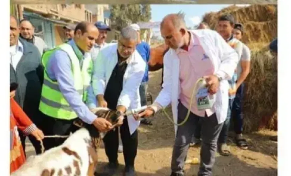 قوافل بيطرية