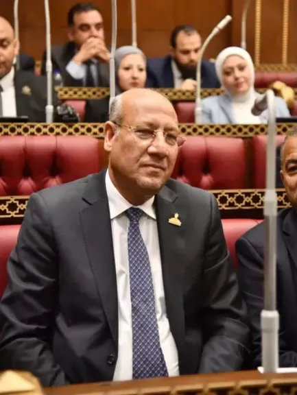 النائب عمرو عكاشة