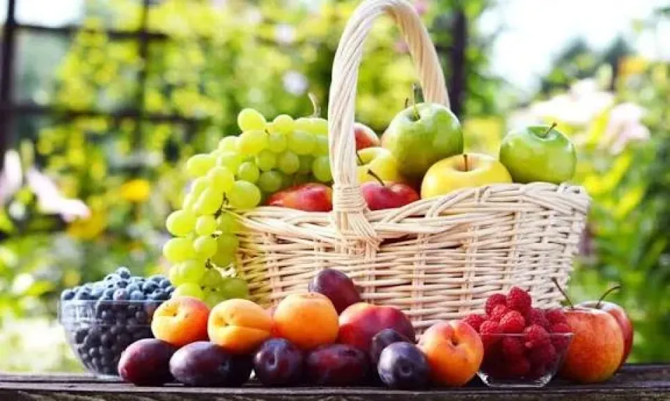 اسعار الفاكهة
