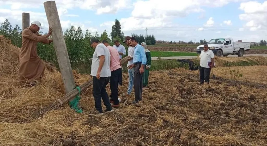 إزالة تعديات