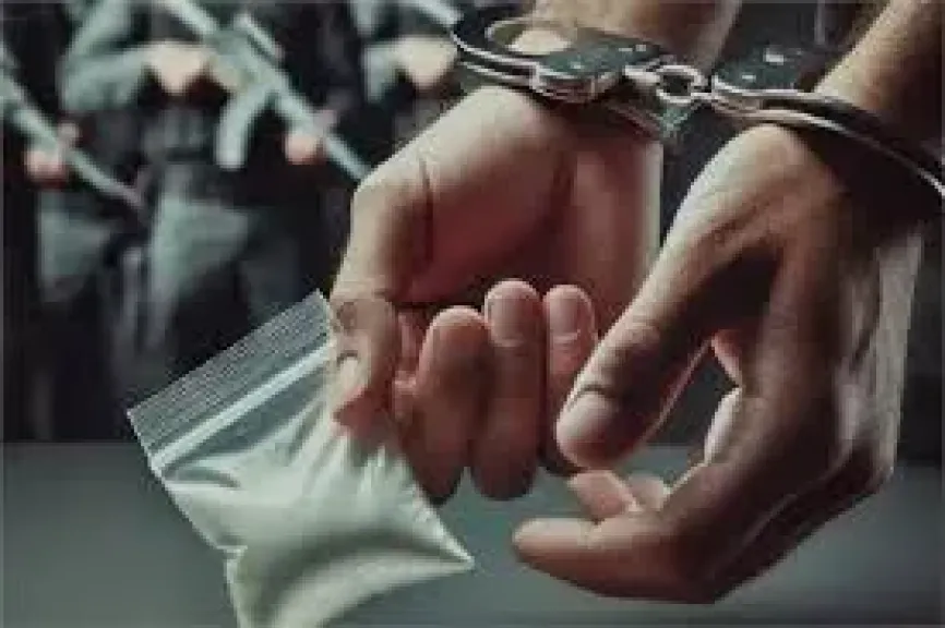 ارشيفية