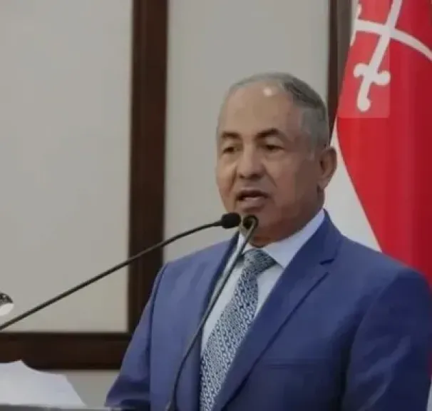 النائب اللواء أحمد العوضي 