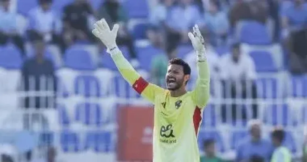 محمد الشناوي