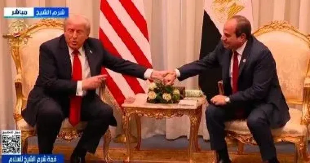 جانب من اللقاء 