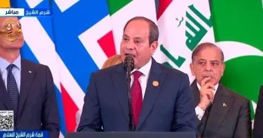 الرئيس السيسى 