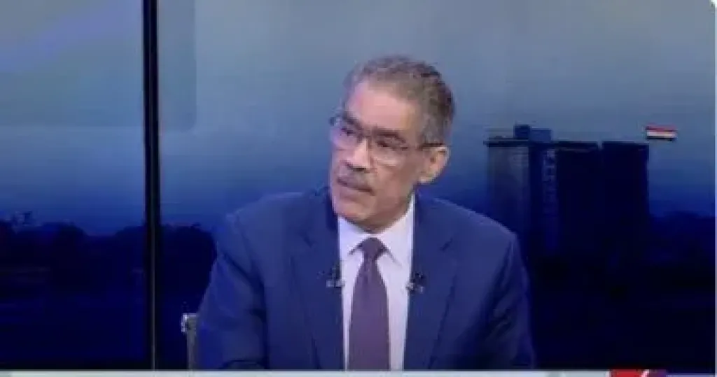 ضياء رشوان 