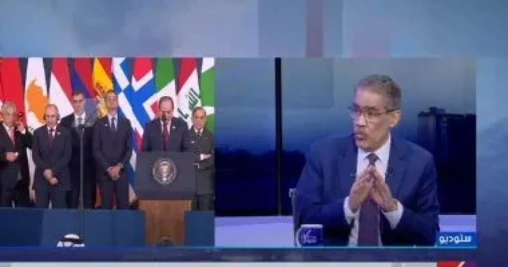 ضياء رشوان 
