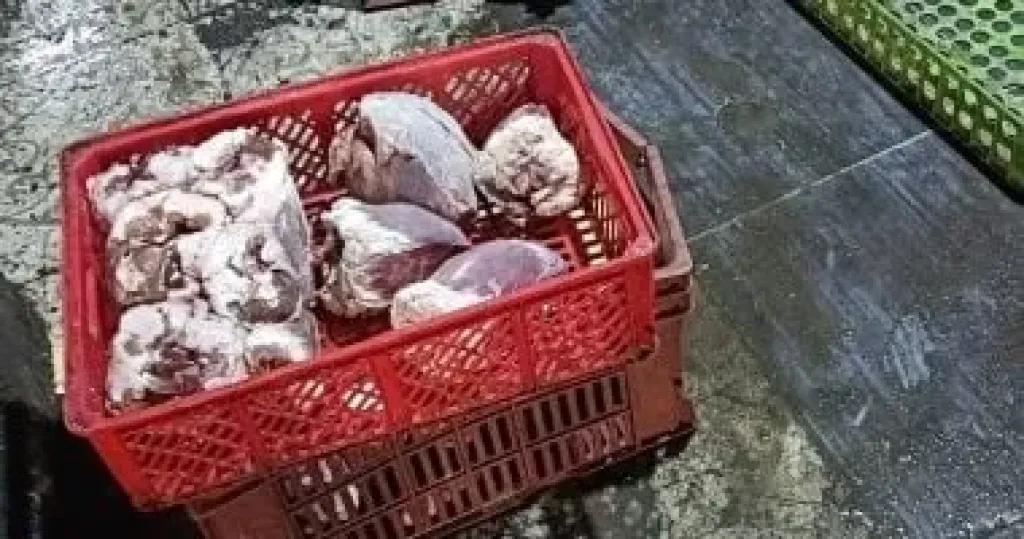 المضبوطات 