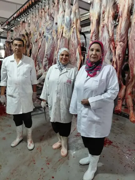 الطب البيطري 