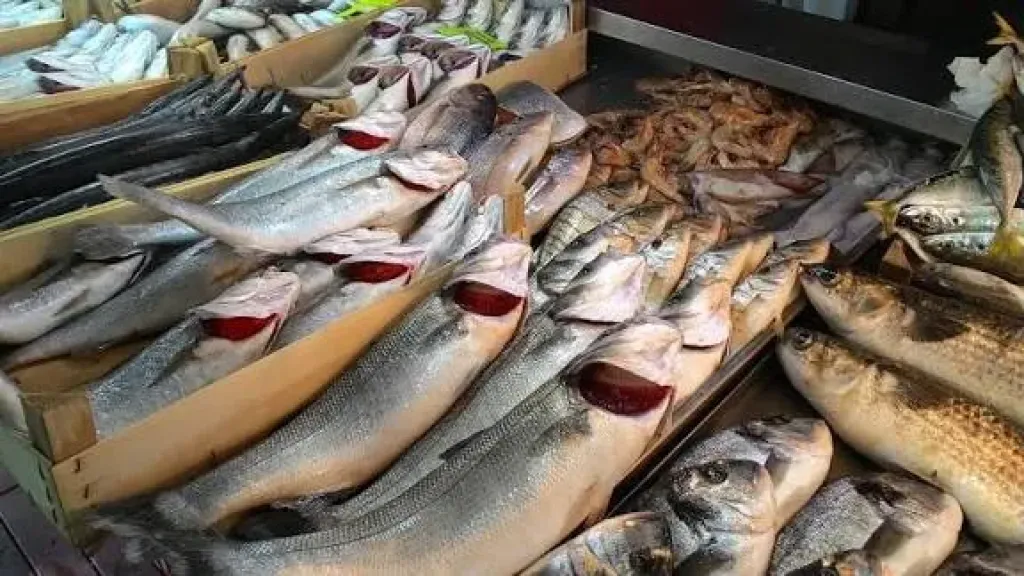 اسعار السمك