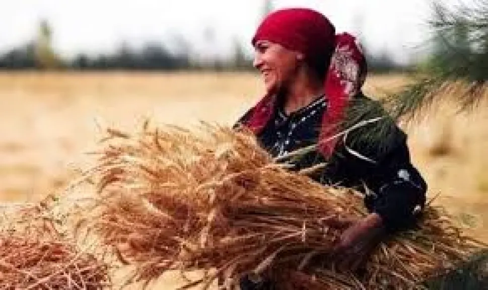اليوم العالمي للمرأة الريفية