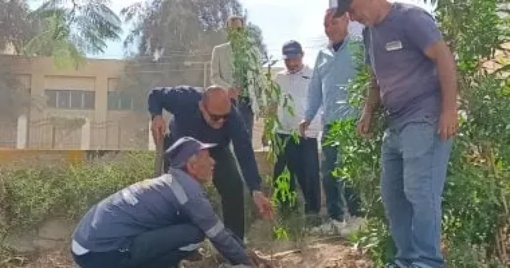 زراعة الأشجار 