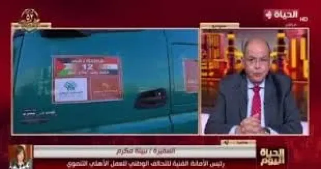مداخلة السفيرة نبيلة مكرم
