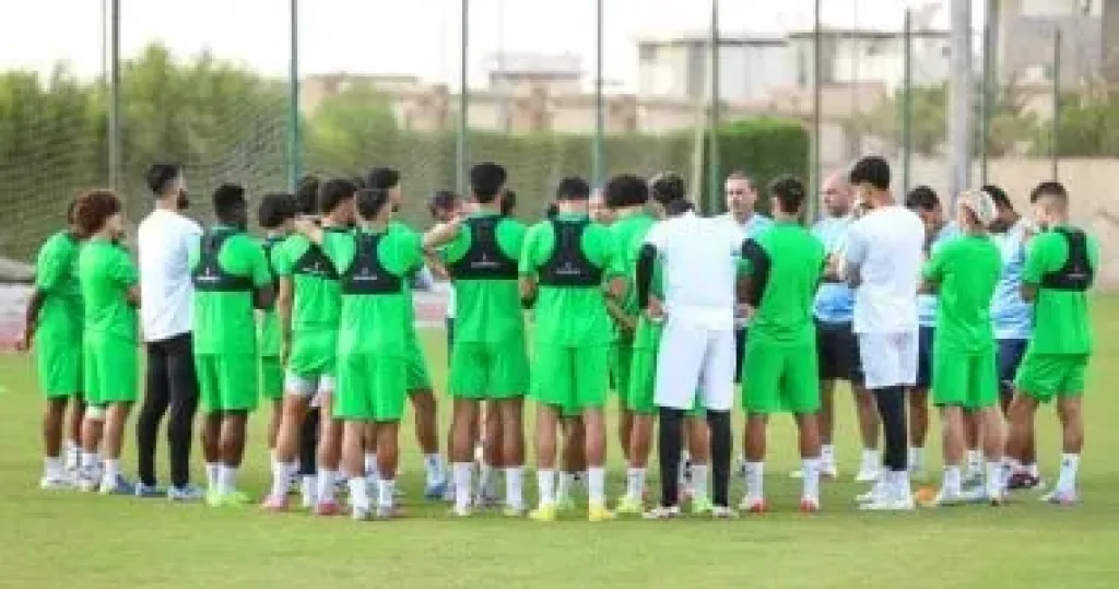 المصرى