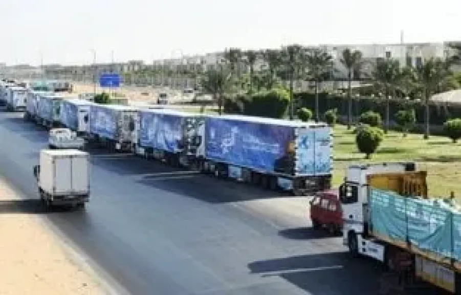 التحالف الوطنى للعمل الاهلى 