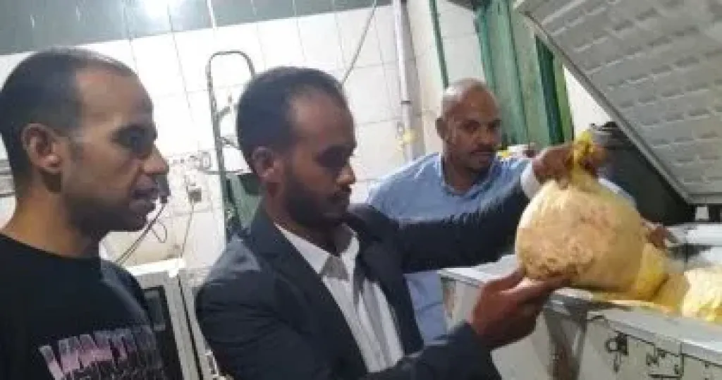 جانب من الحملات 