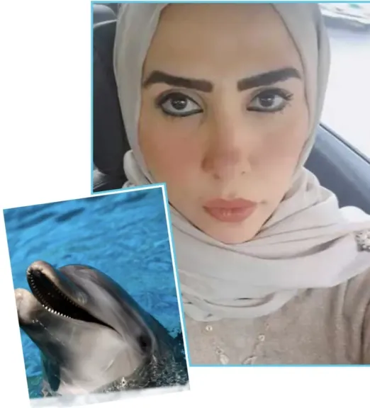 إيمي حمدي 