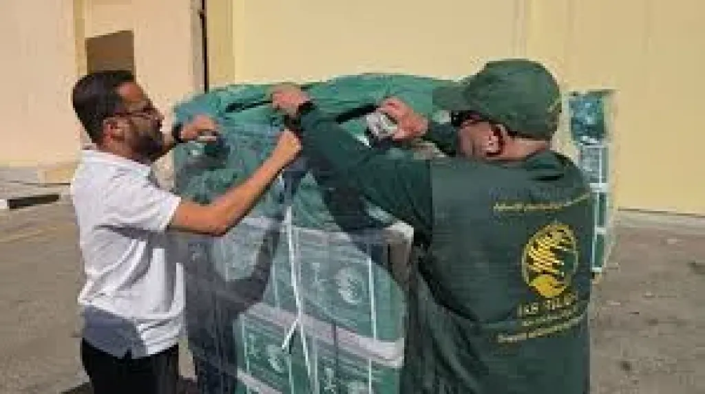 الطائره السعوديه