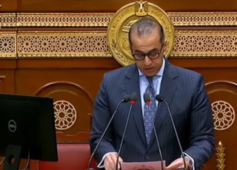 المستشار محمود فوزي