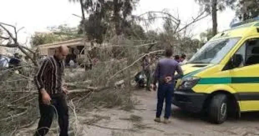 وفاة عامل سقط من على شجرة بالمنصورة وظل معلقا بالفروع