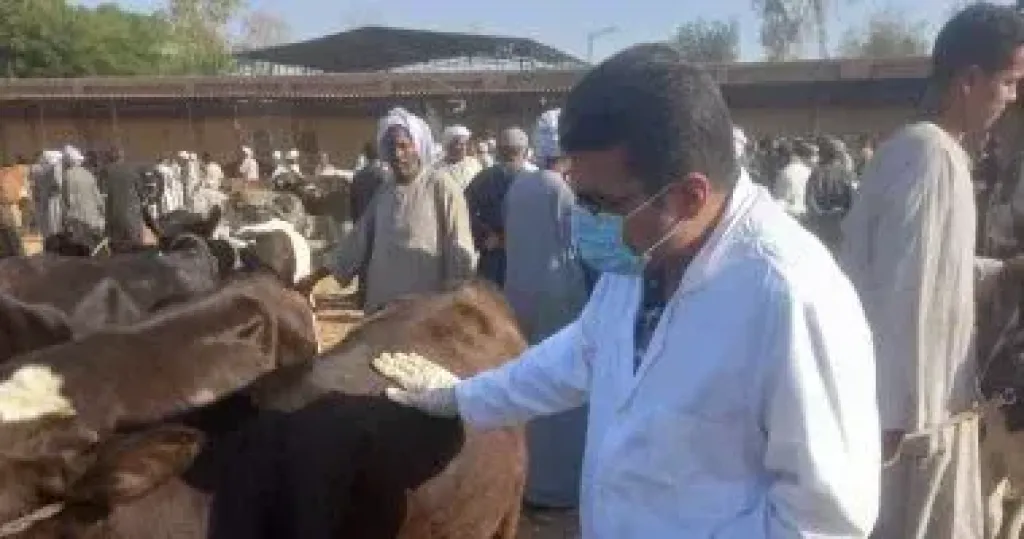 الطب البيطري 