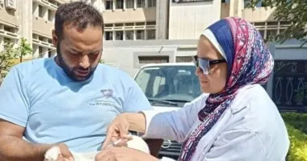 جانب من الحملة 