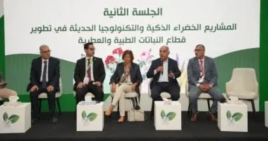 جانب من الفعاليات 