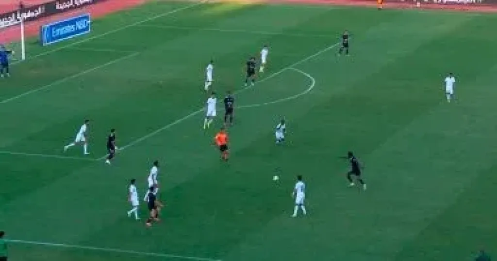 زد وبتروجت