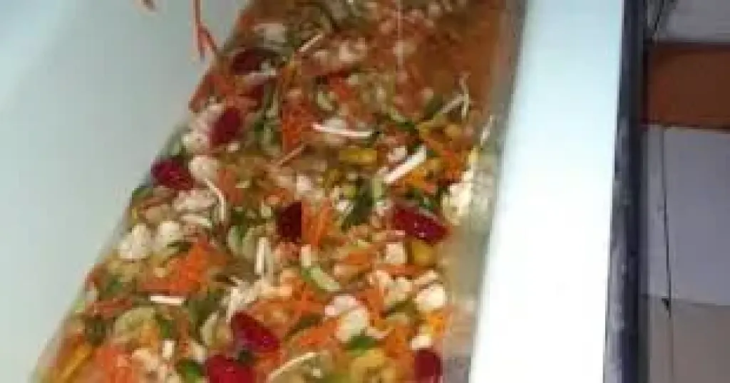 ضبط مخللات 