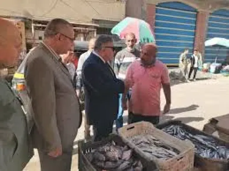 جوله  محافظ الدقهليه فى السنبلاوين