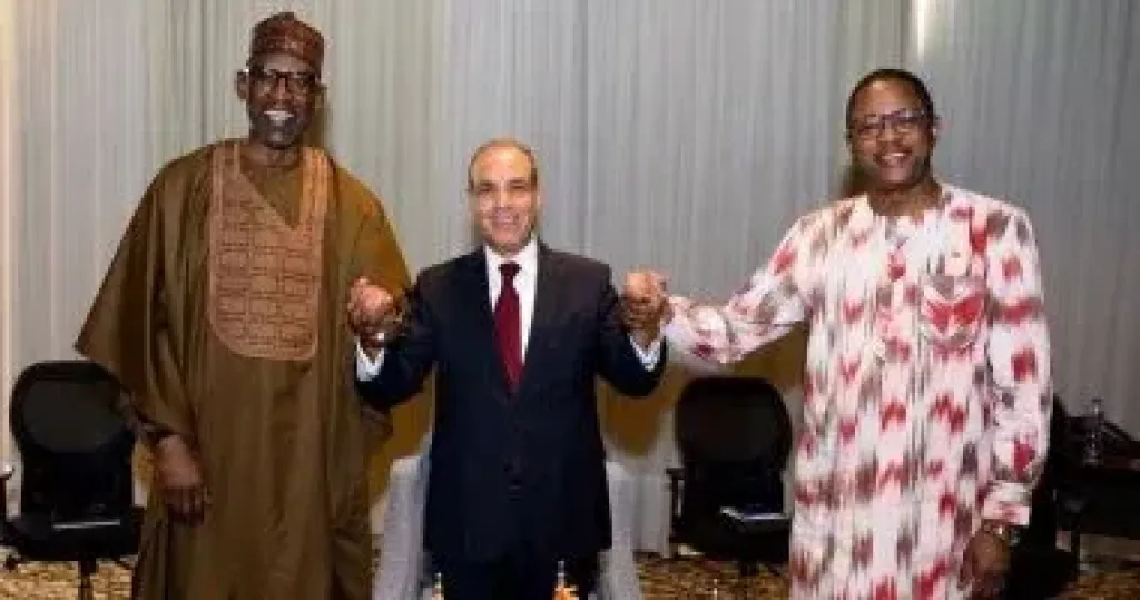 جانب من اللقاء 