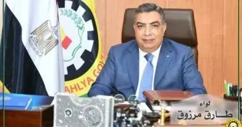 محافظ الدقهلية 