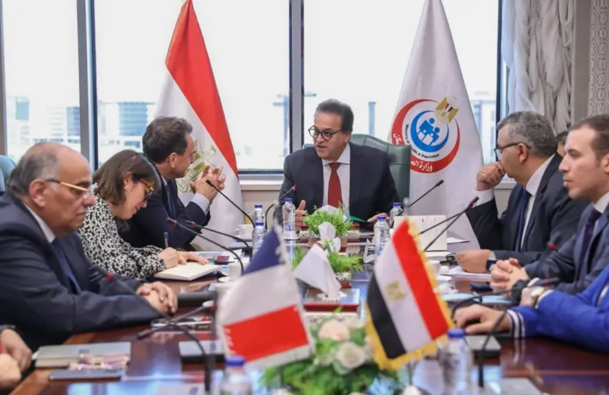 نائب رئيس مجلس الوزراء
