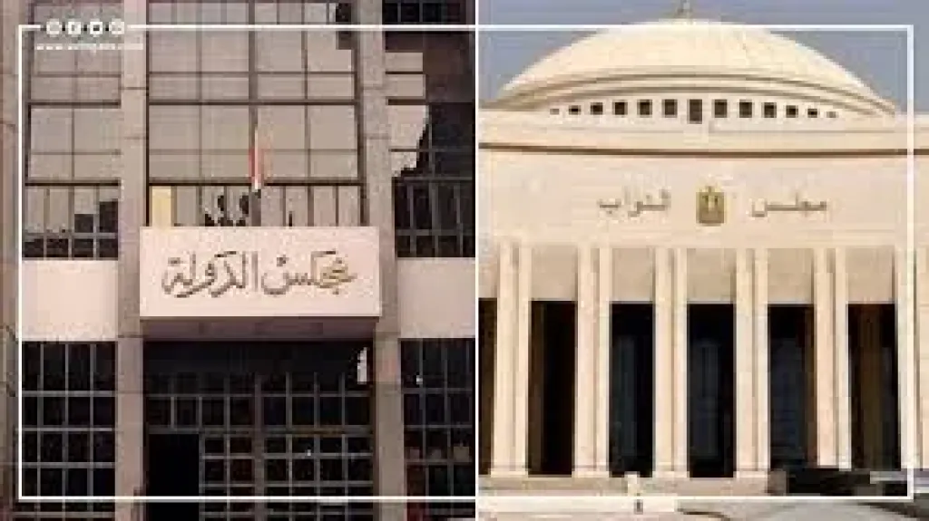 طعون انتخابات مجلس النواب بالدقهليه