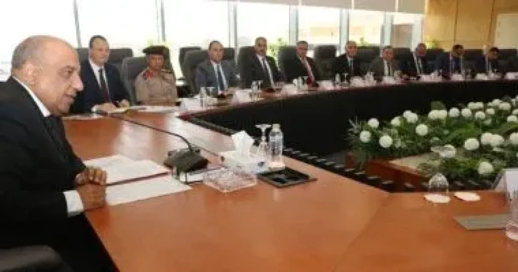 وزير الكهرباء 