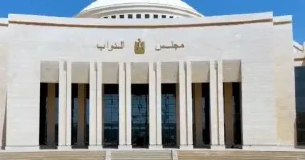 القضاء الإداري  