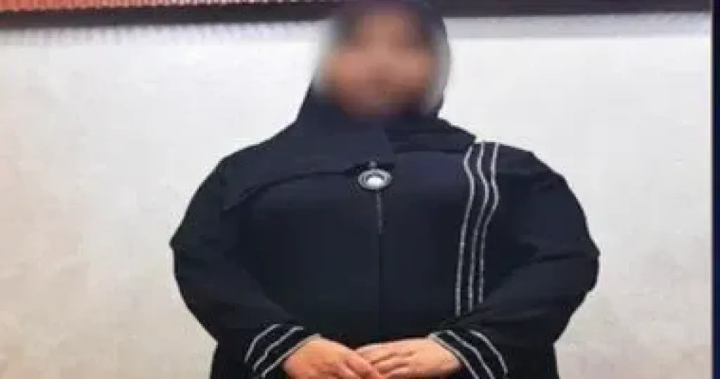 صانعة المحتوى 