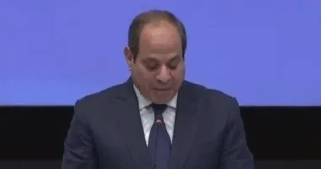 الرئيس السيسي 