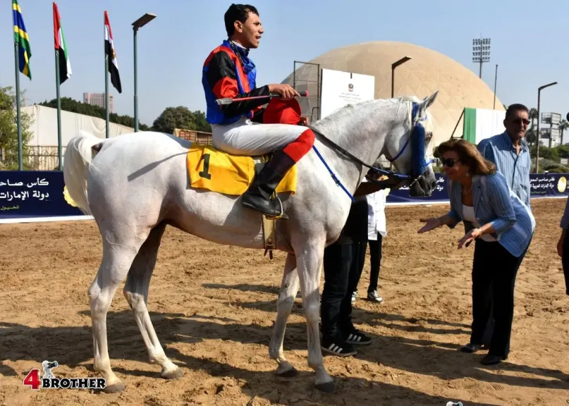 كأس الإمارات للخيول 