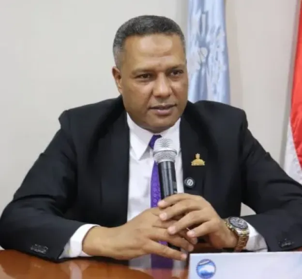 النائب محمد حمزه، عضو مجلس الشيوخ، 