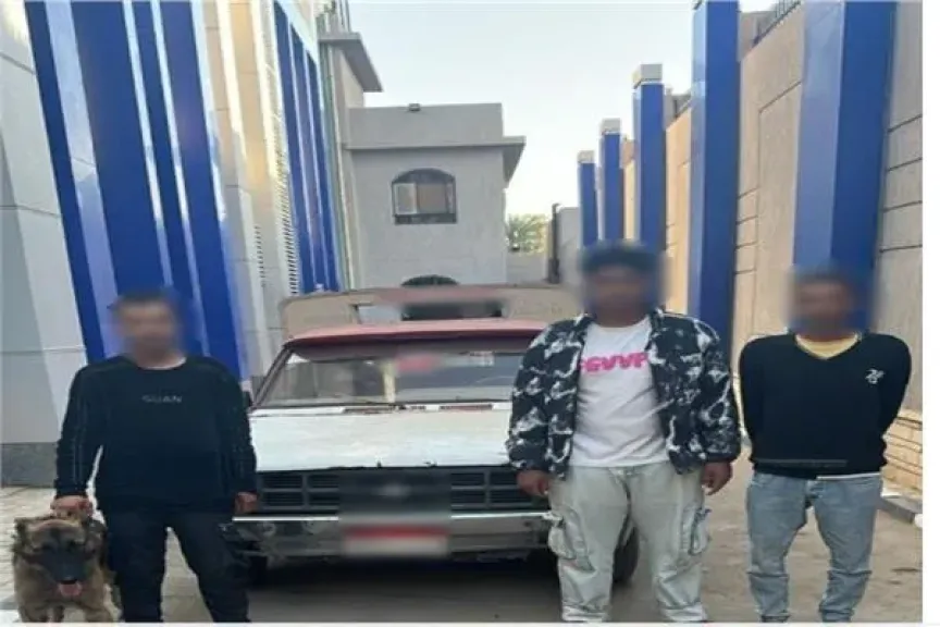 المتهمين بترويع شخص من ذوي الهمم بكلب شرس