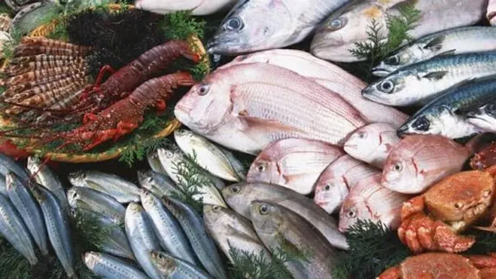 اسعار السمك