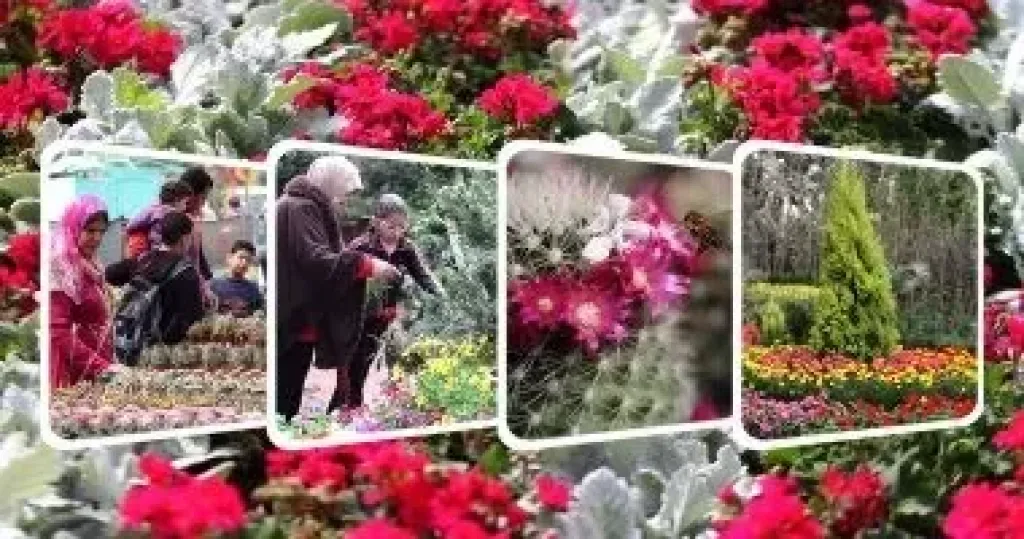 معرض الزهور 