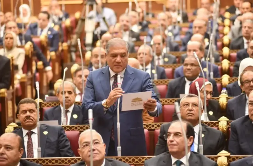 عفت السادات 