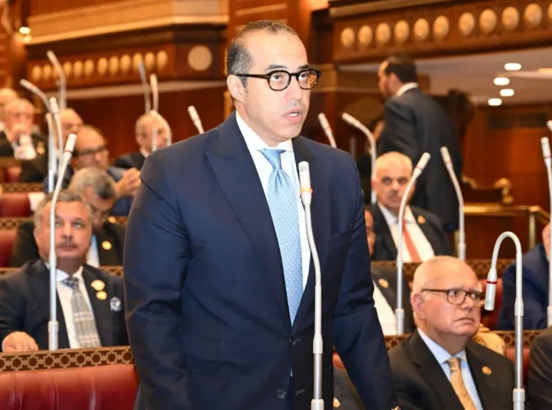 المستشار محمود فوزي 