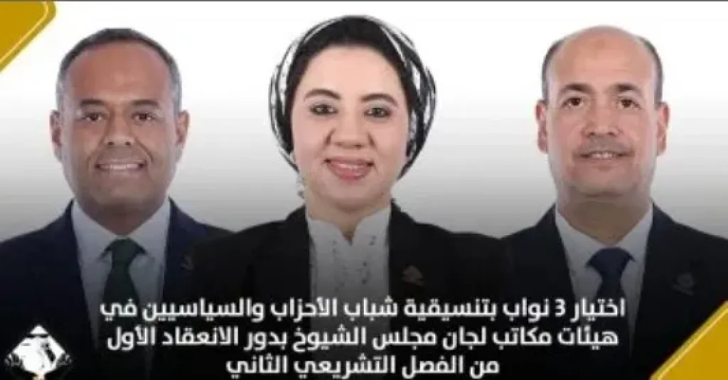 نواب التنسيقية 