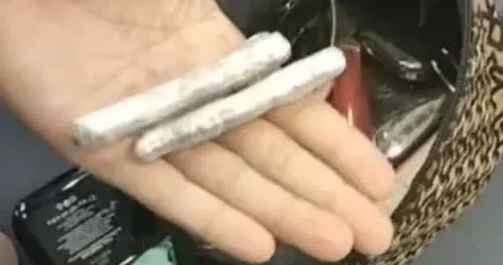 المضبوطات