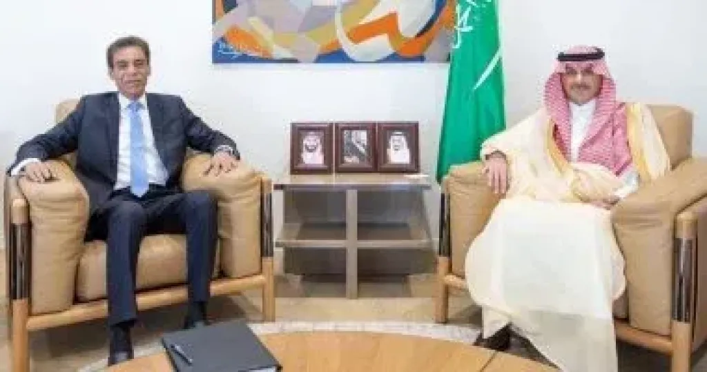 جانب من اللقاء 