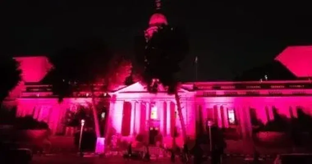 قصر العينى  