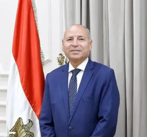 محافظ القاهرة 